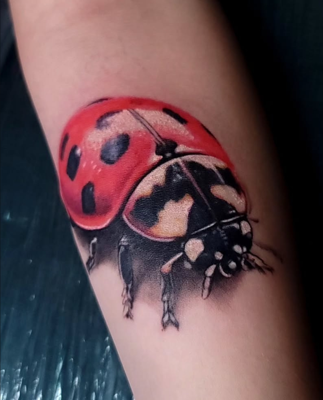 Color realism ladybug tattoo