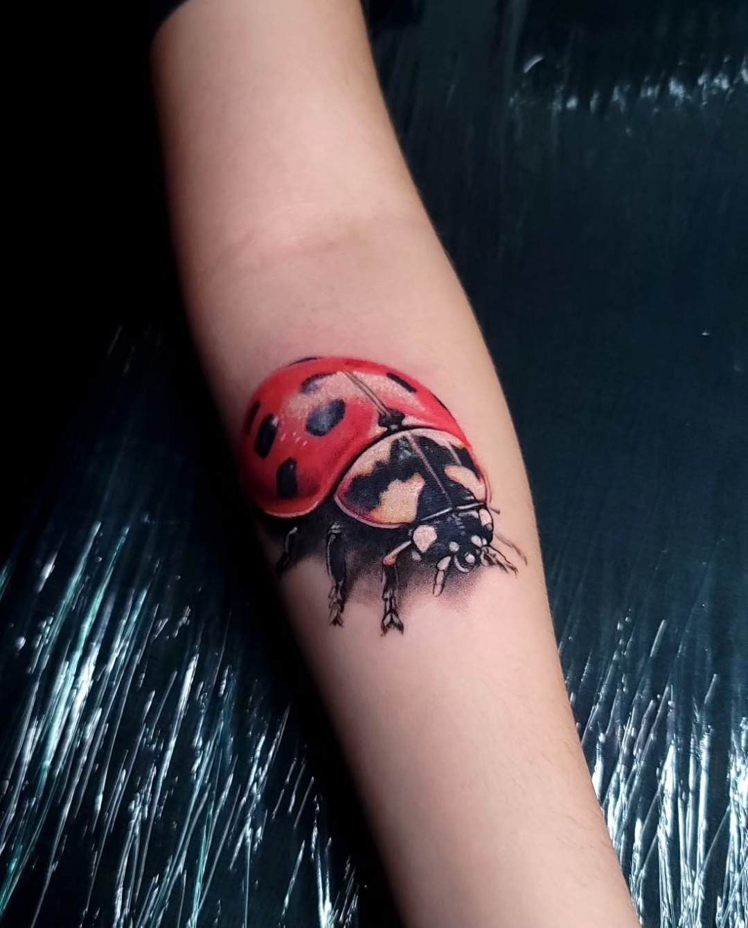 Color realism ladybug tattoo